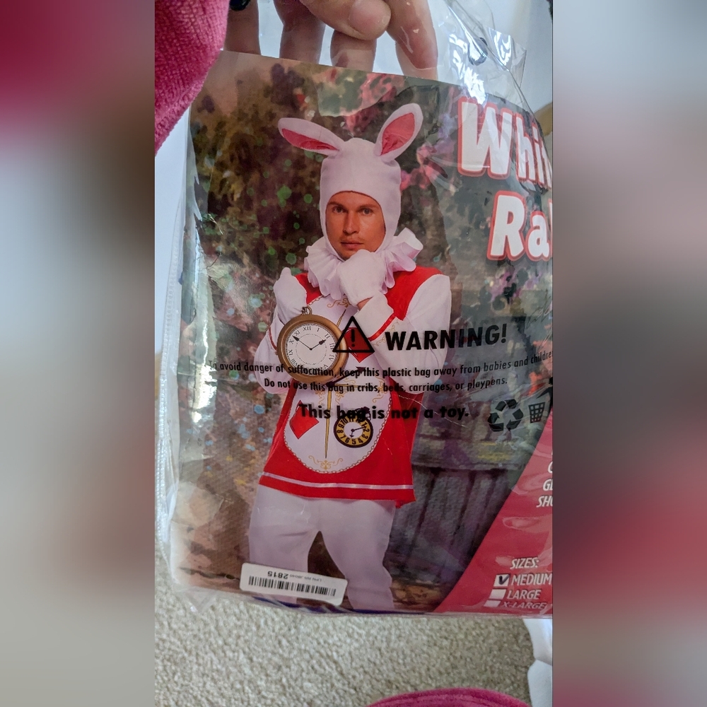 White Rabbit And Alice Set - Picture 14 of 15